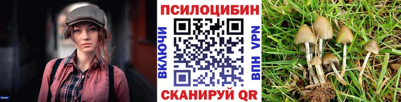 что такое   Дальнереченск  Галлюциногенные грибы Psilocybine cubensis 